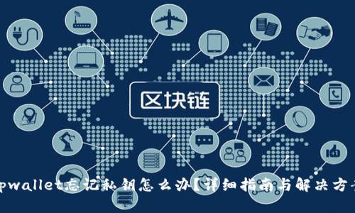 tpwallet忘记私钥怎么办？详细指南与解决方案